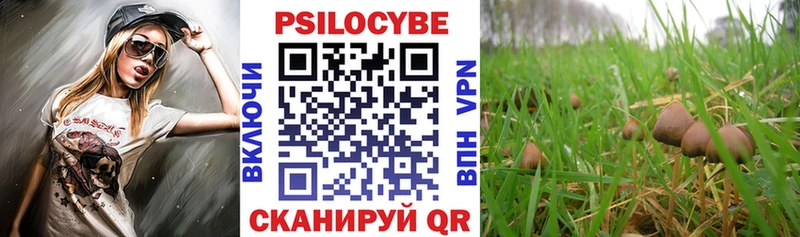 Псилоцибиновые грибы мицелий  Сыктывкар 